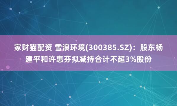 家财猫配资 雪浪环境(300385.SZ)：股东杨建平和许惠芬拟减持合计不超3%股份