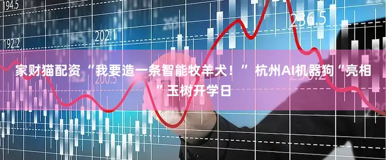 家财猫配资 “我要造一条智能牧羊犬！” 杭州AI机器狗“亮相”玉树开学日