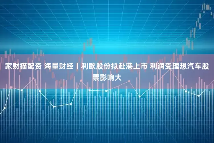 家财猫配资 海量财经丨利欧股份拟赴港上市 利润受理想汽车股票影响大
